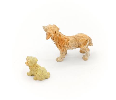 Cane e Cucciolo