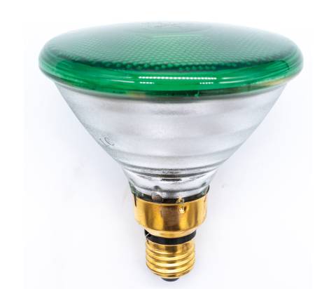 Verde - Lampade e Spot