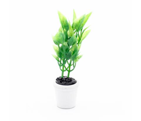 Pianta in Vaso - h 7 cm