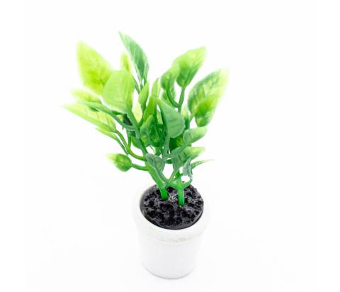 Pianta in Vaso - h 7 cm