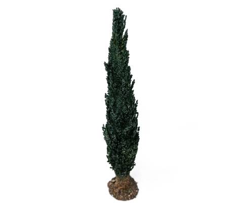  h 15 cm - Alberi Presepe