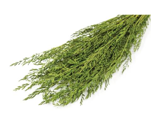  K115 - Vegetali, Ghiaia, Pietrisco