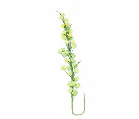 verde chiaro - 