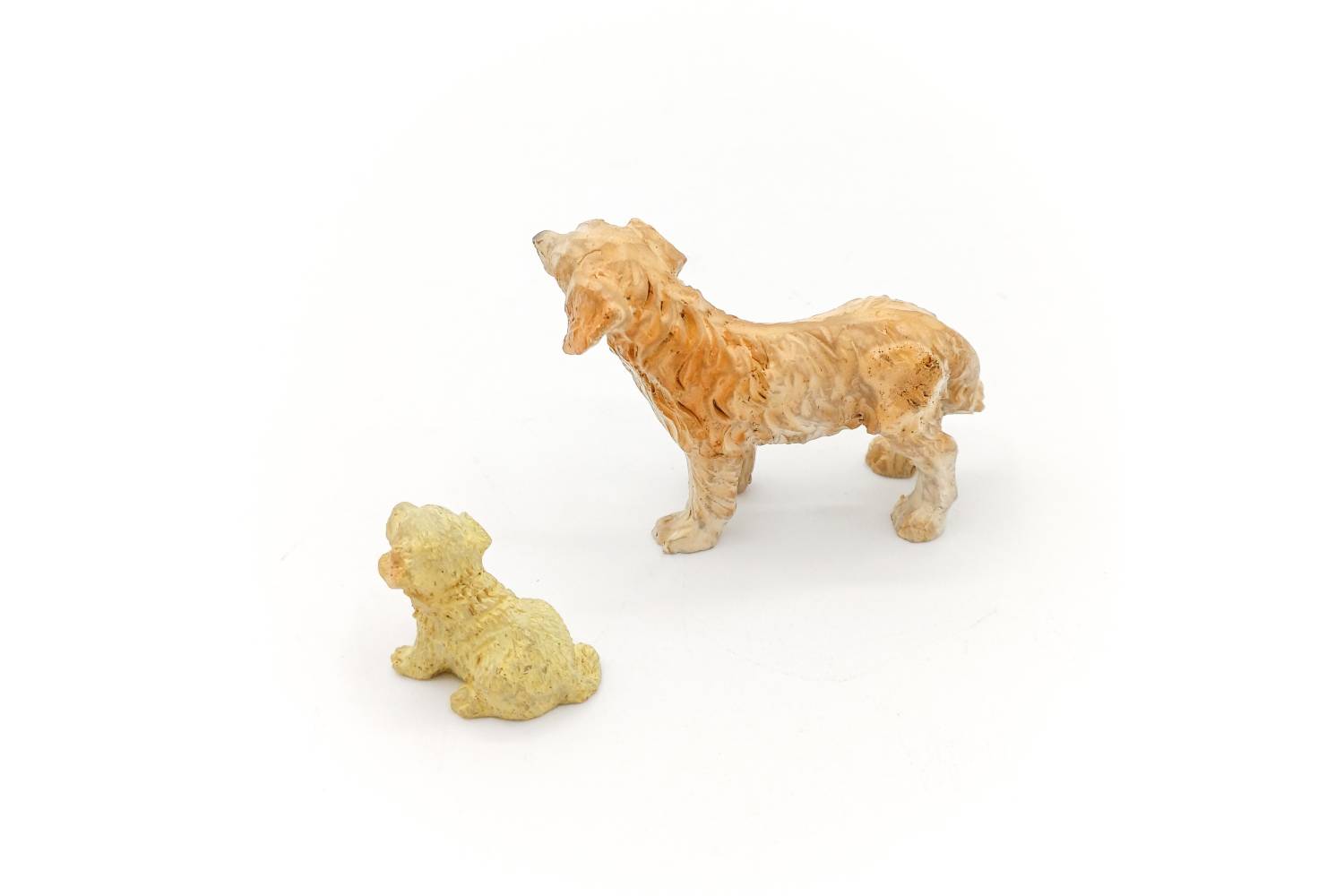 Cane e Cucciolo