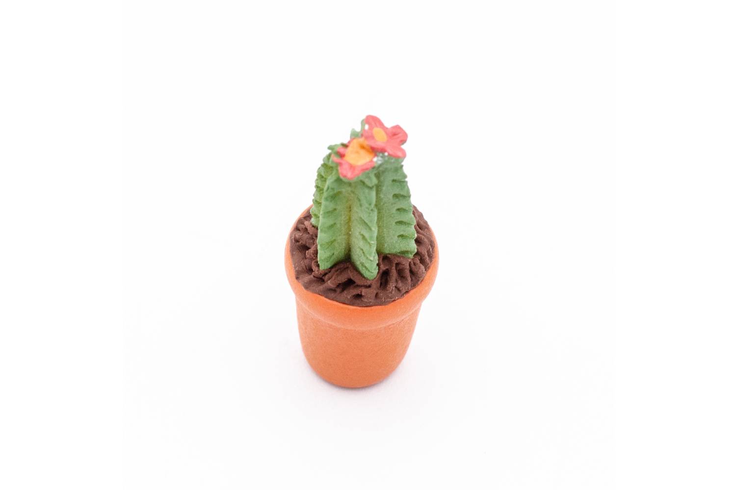 Cactus in Vaso - h 4 cm