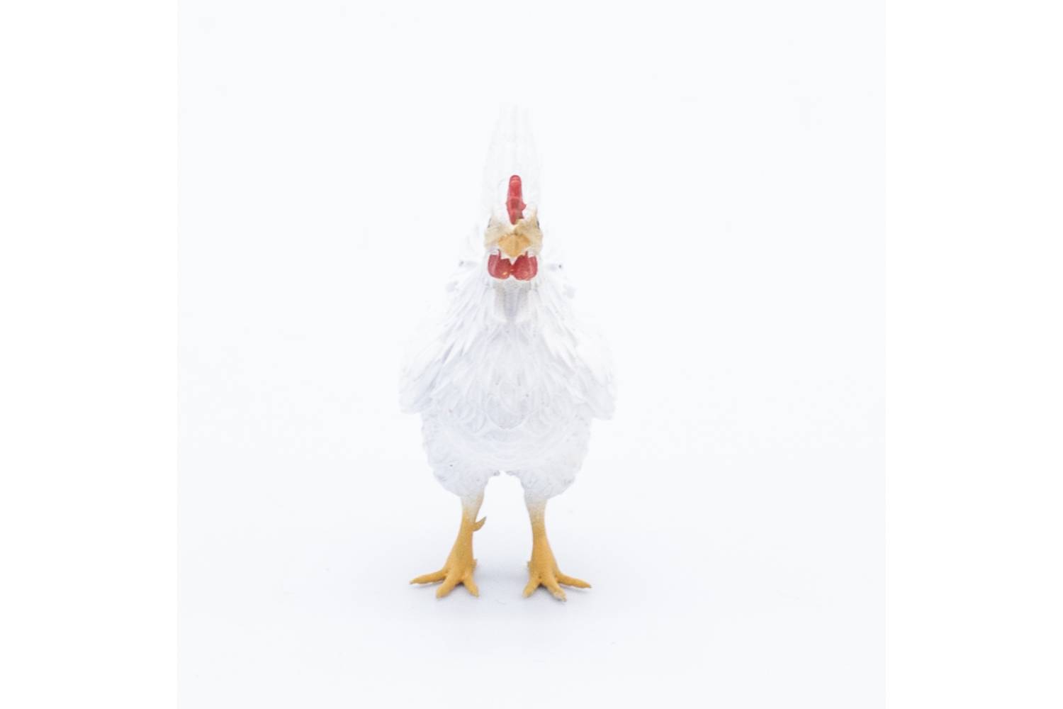 Gallina in Piedi x statue h 24 cm